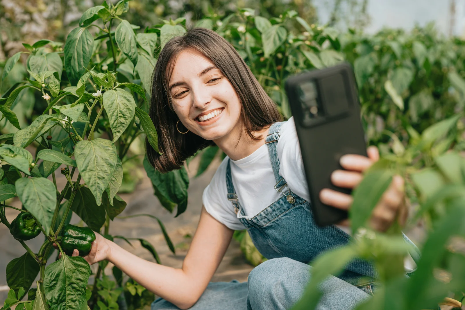 Creator filming plants in a greenhouse