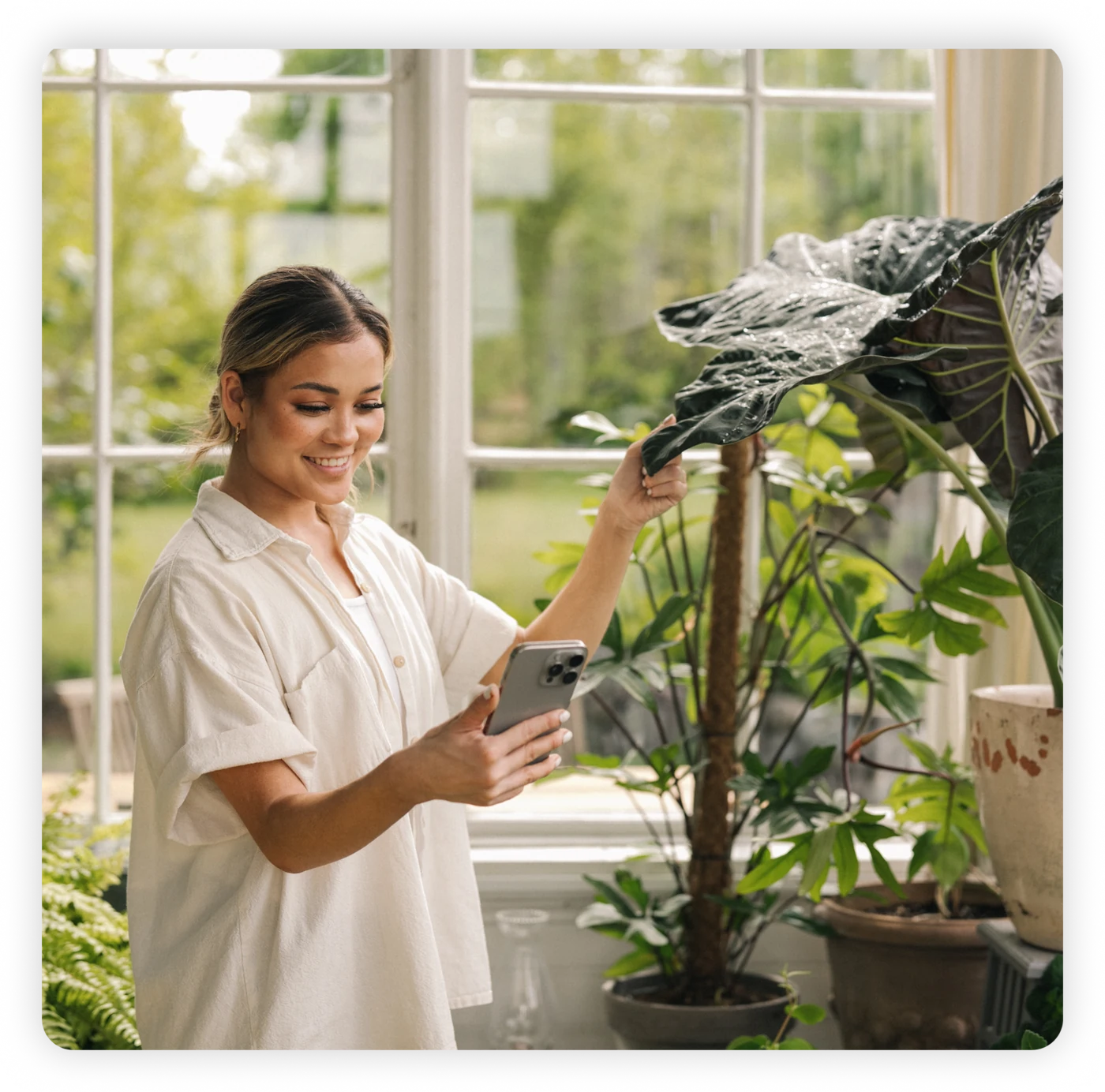 Person caring for plants