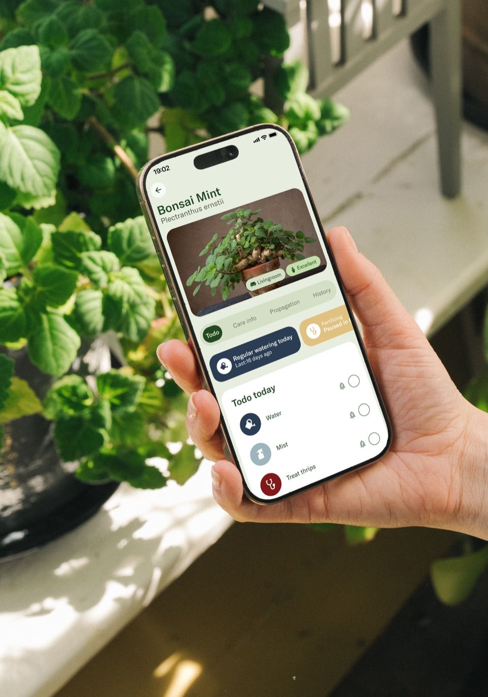 The Planta app showing a plant care schedule