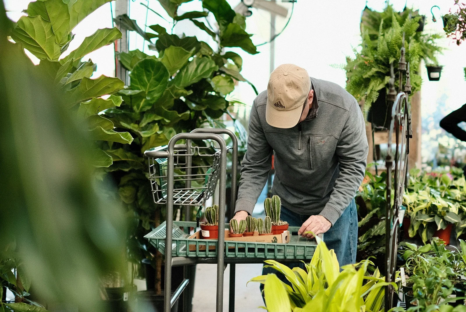 Plant retail store with healthy plants
