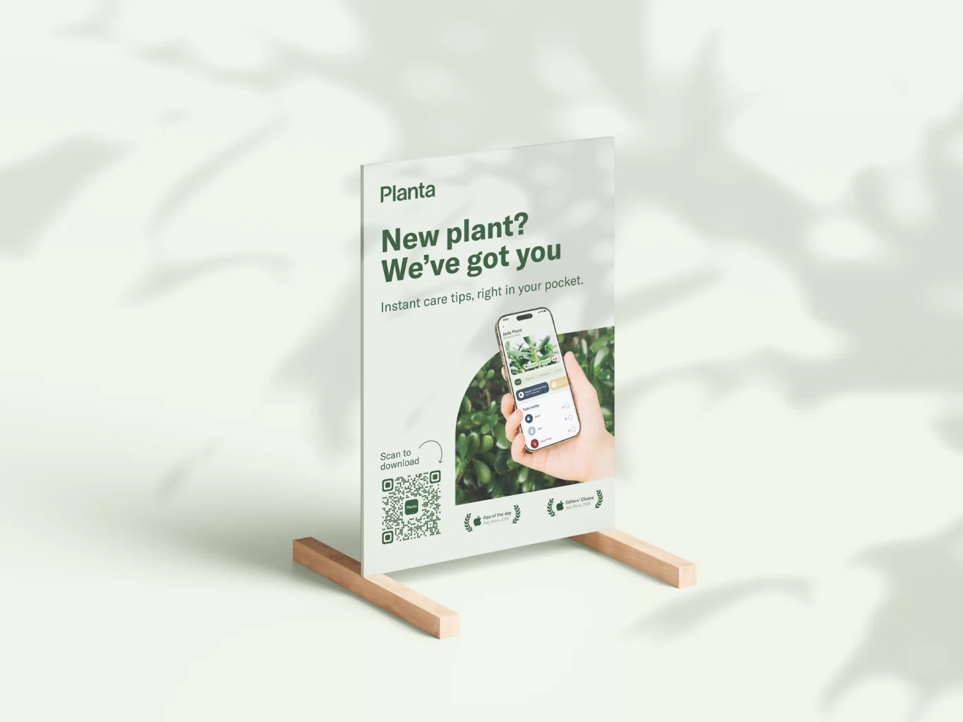 Planta starter kit poster on a wooden stand