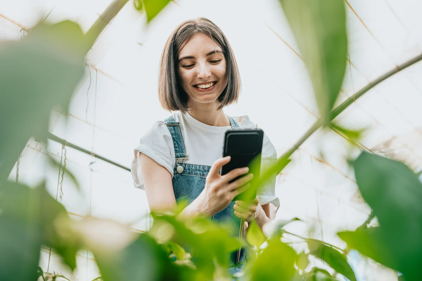 Creator filming plants in a bright greenhouse