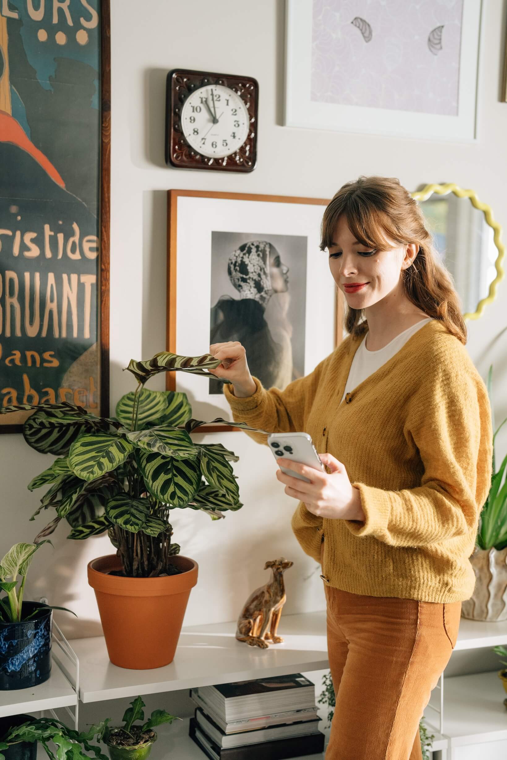 Grow your plants and plant care skills